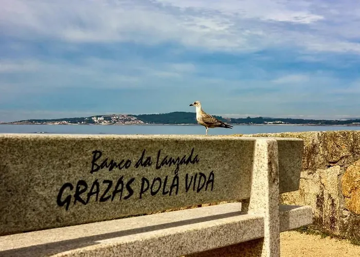 Διαμέρισμα Vut 